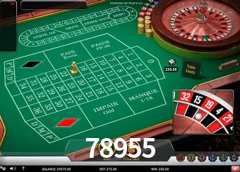 Descubra o Mundo do Cassino Online com 78955